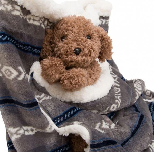 主人寵物共用毛毯售價1,843円(約港幣$133) 