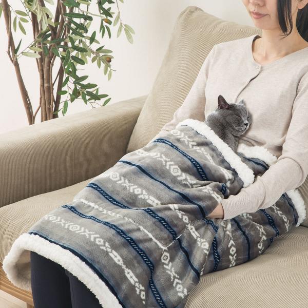 日本NITORI推主人/寵物共用保暖毛毯！冬天同毛孩一齊暖笠笠取暖