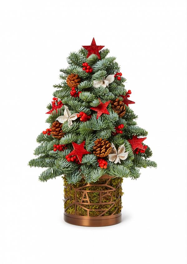 Little Christmas tree 聖誕樹擺設 $1,180