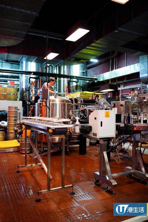 【港島好去處】全港最大規模本地手工啤釀酒廠！參觀釀製過程/送新鮮啤酒