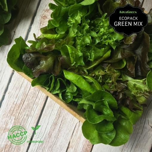 【網購優惠】Aqua Green水耕種植蔬菜健康又環保！訂購新鮮蔬果滿$250免運費