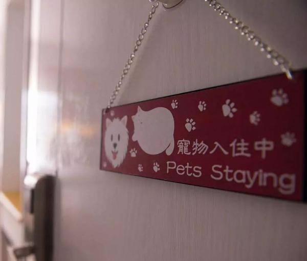 香港10大寵物友善酒店推介！帶毛孩去Staycation！大草地放電+寵物攝影+歎下午茶