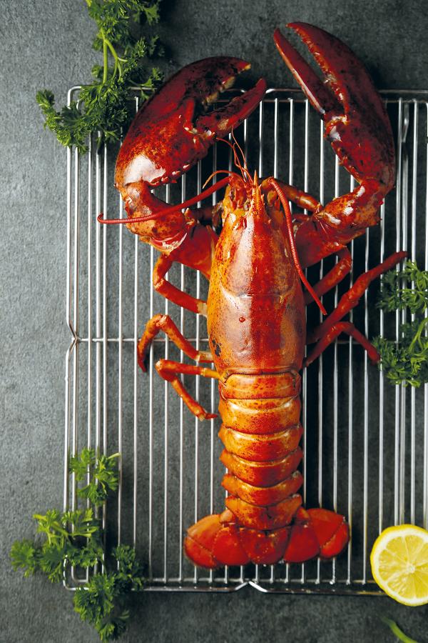 【情人節餐廳2021】Red Lobster推限定情人節套餐 任食車打芝士鬆餅！龍蝦手工薄餅/美式蒸龍蝦