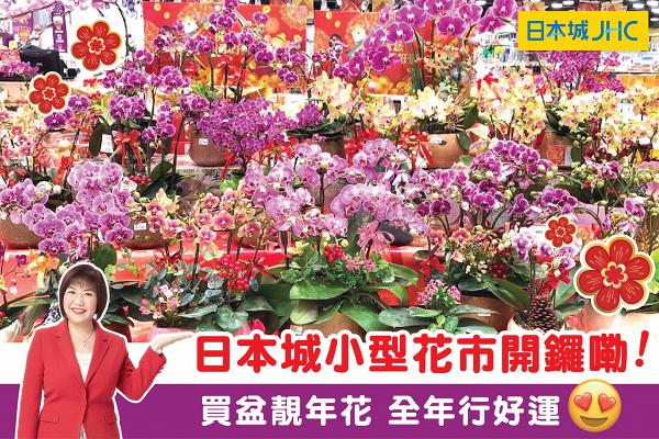 【新年好去處2021】全港最新6大年宵花市率先開鑼！日本城/實惠/HKTVmall線上花市