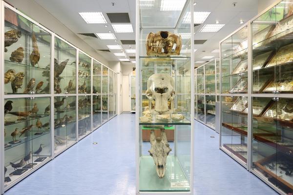 【香港大學好去處】香港首個生物多樣性博物館開幕！藏過萬物種標本/珍稀物種/預約參觀詳情