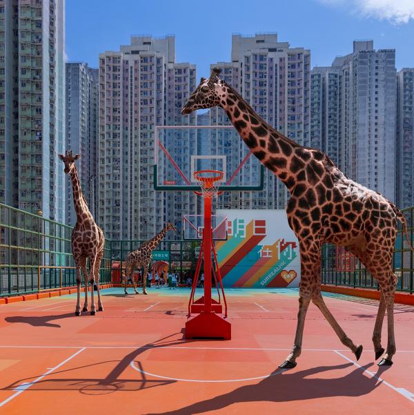【中環好去處】SurrealHK超現實香港攝影展6月開鑼！27幅藝術作品/IFC巨型雪條/獅子山頂豪宅