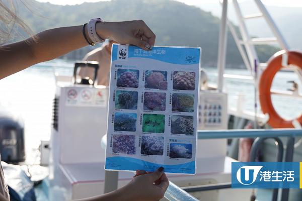【西貢好去處】海下灣玻璃船生態遊 近距離欣賞10種珊瑚 超適合一家大細親子樂！