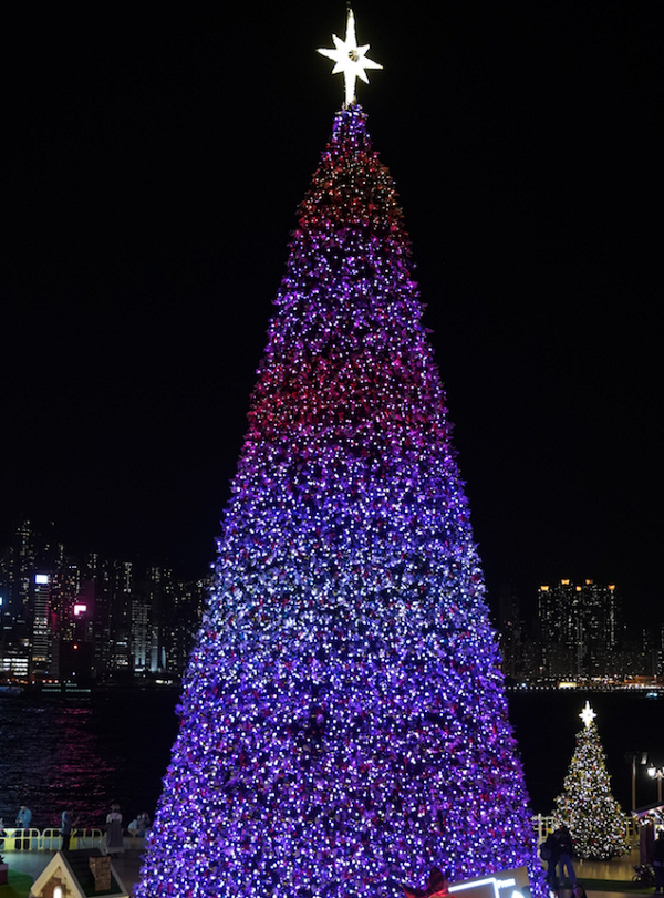 【聖誕好去處2021】西九文化區20米高巨型聖誕樹亮燈！夢幻童話小鎮/維港燈飾夜景/免費入場