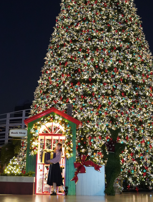 【聖誕好去處2021】全港20大最新聖誕影相位懶人包！赤柱聖誕市集/西九巨型聖誕樹/城門河燈飾