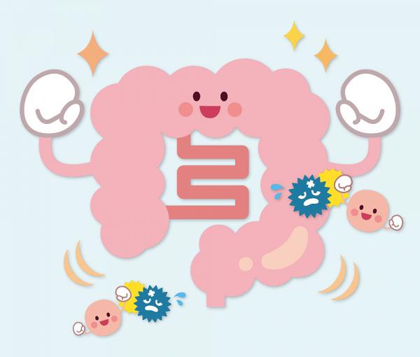 【姜濤益生菌】日本耐酸性晶球保護乳鐵蛋白，助益生菌直達腸道，改善免疫力