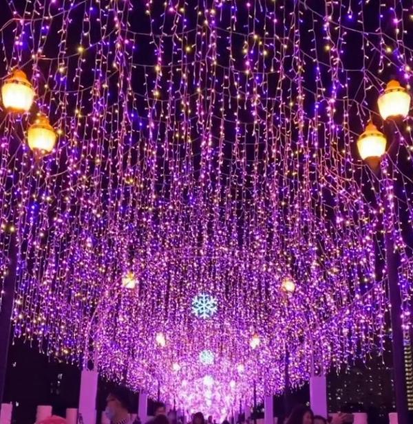 【聖誕好去處2021】沙田城門河紫色燈飾隧道登場！沙田半日遊必影紫藤燈海/Sanrio打卡位+市集