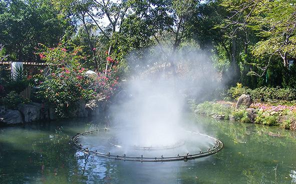 【賞花好去處】大窩口城門谷公園盛開花卉 多個童話風打卡位！藍白風車塔/愛麗絲兔子園林