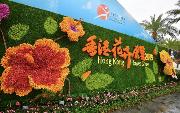 原定3月2022年香港花卉展覽取消！康文署考慮以不同方式展出花卉
