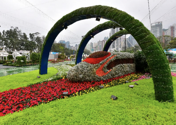 原定3月2022年香港花卉展覽取消！康文署考慮以不同方式展出花卉