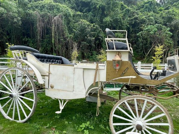 大埔好去處｜今年3月開幕童話世界農莊 親親英女王御用品種白馬、歐洲古董馬車打卡位