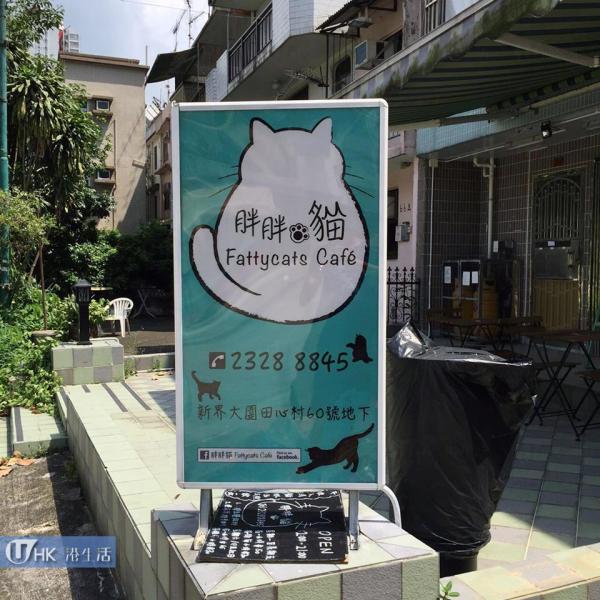 胖胖貓 Fattyscat Cafe