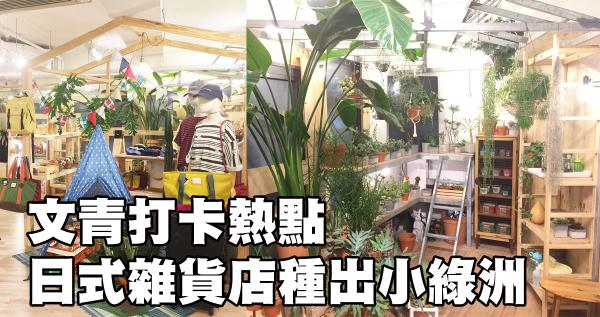文青打卡熱點  日式雜貨店種出小綠洲