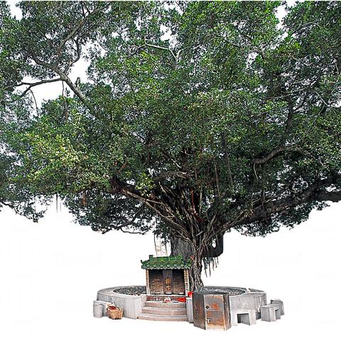 榕樹樹下天后古廟。 相片來源  ：元朗區議會