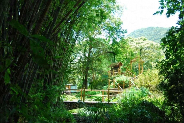 野外研習園內設有竹林、石橋、小亭，亭園。