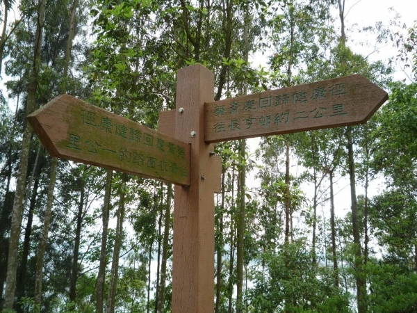 青衣自然徑沿途有指示牌，清晰地向行山人士表示方向與距離。（相片來源：Clara Lee）