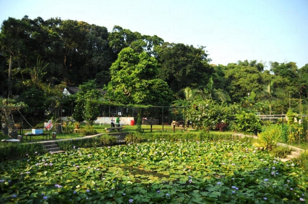 清快塘村的喜香農莊成了一個雅緻庭園。