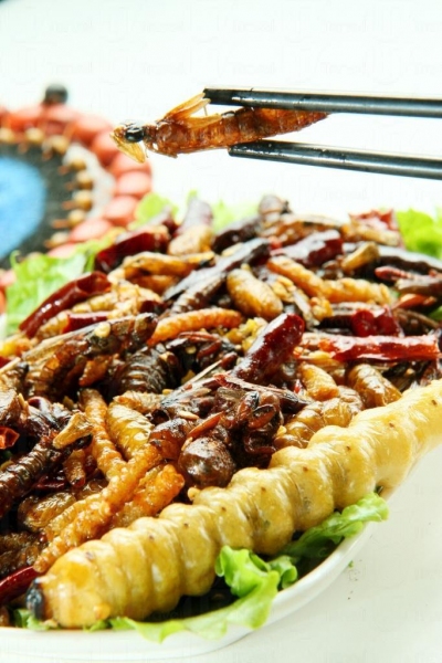 雲南人家的蟲食中的酥炸雜蟲有：竹蟲、蠶蛹、蚱蜢、水蜻蜓、金蟬子、柴蟲等款式。