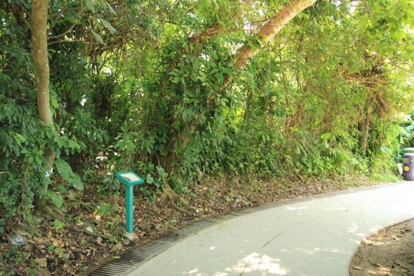 南丫島家樂徑地勢平坦，適合一家大小或三五知己慢慢行走。