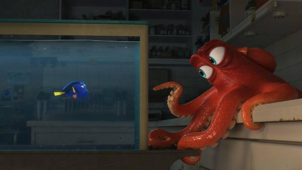 Finding Dory（圖：FB@Finding Dory）