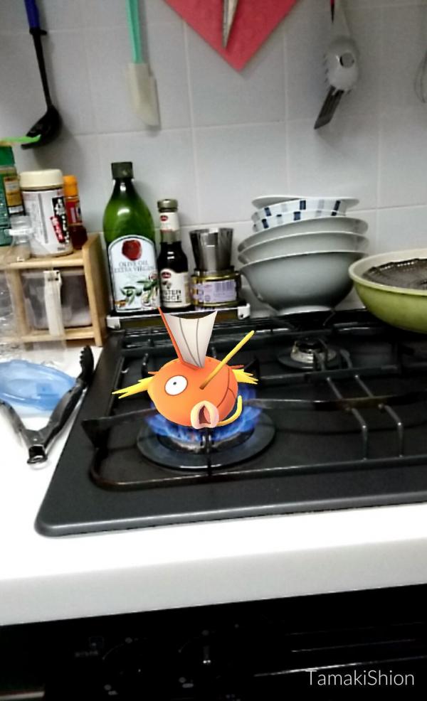 香煎鯉魚王！Pokemon融入現實生活爆笑圖集