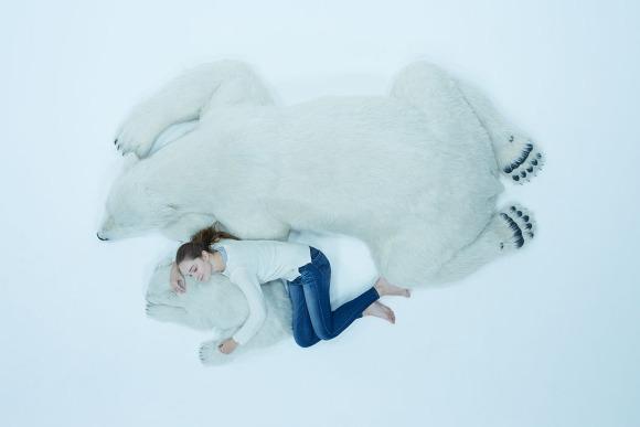 放屋企超治療！令你有100%安全感的巨型北極熊攬枕（附價錢）