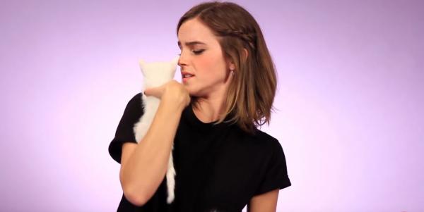 女神Emma遇上喵星人　網友：我都想變成隻貓呀！