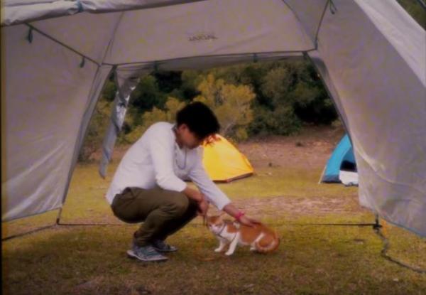 港韓90後女生帶住貓咪去露營　教你5招戶外溜貓小貼士