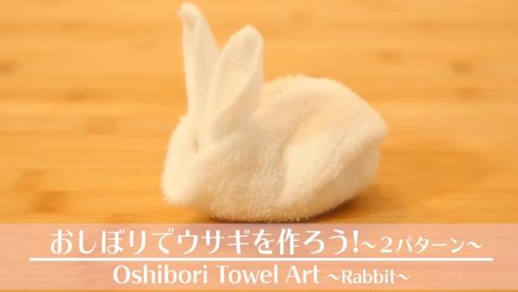 2個簡易方法摺出小白兔 快速學識摺毛巾技巧！
