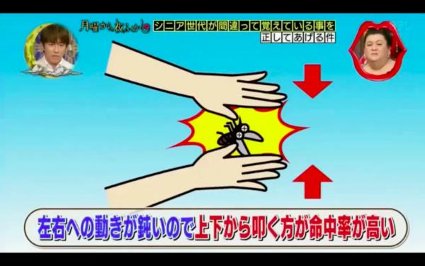 日本節目教你最強拍蚊絕招！超易學懂正確拍蚊手勢