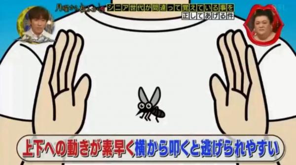 日本節目教你最強拍蚊絕招！超易學懂正確拍蚊手勢