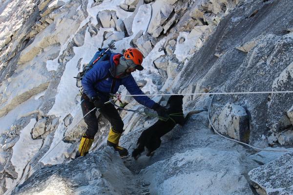 靈性流浪狗隨登山隊闖高峰！成功登上海拔7千米喜馬拉山刷新記錄