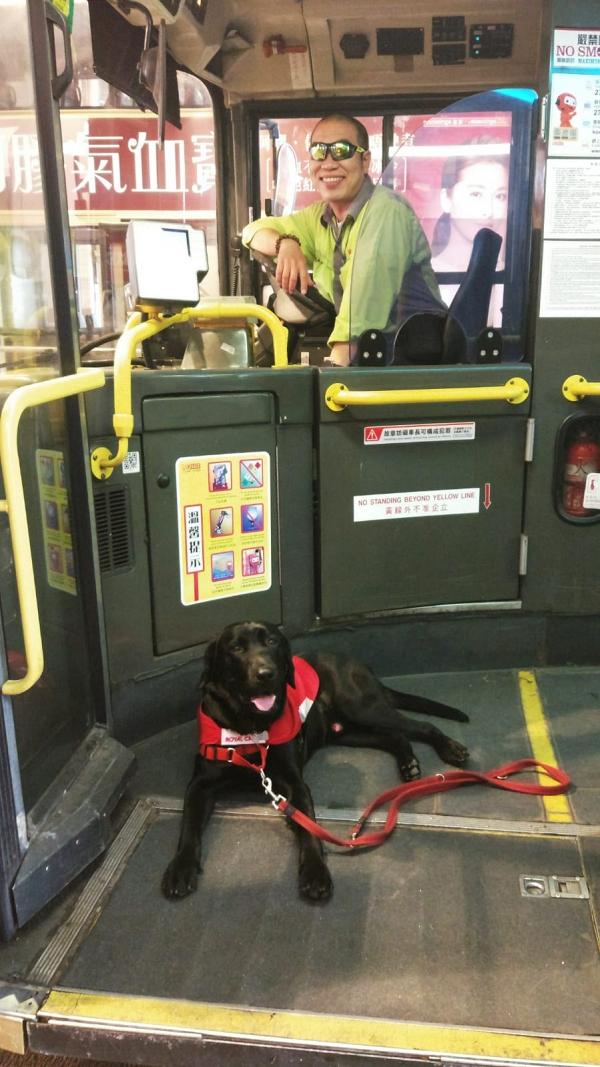 乖巧導盲犬搭巴士遇上親切司機 暖心合照展一致笑容獲數千網友激讚