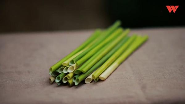越南推出「蒲草飲管」支持環保走塑　每支$0.2價錢親民+可以全天然分解