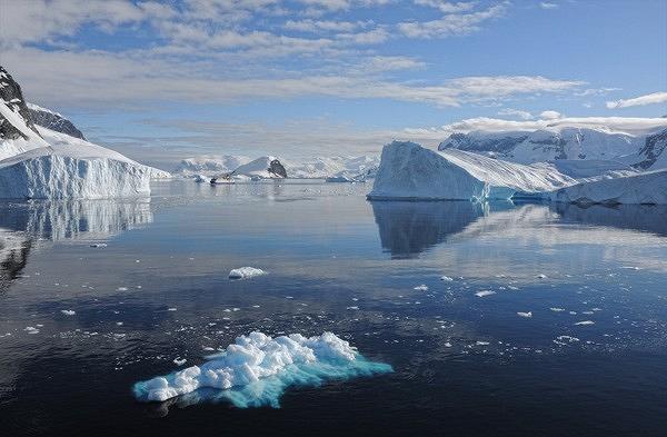 南極冰架遭強風吹襲 企鵝棲息地被摧毀！一夜間逾千隻皇帝企鵝BB溺斃