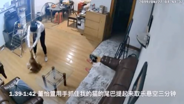 香港科大女學生涉虐待室友貓咪！騰訊：如核實將終止該同學的實習