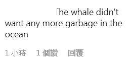 手機墜海白鯨親身歸還獲讚嘆 網民笑稱：佢唔想屋企多件垃圾