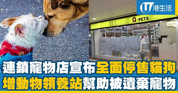 連鎖寵物店Q-PETs宣布全面停售貓狗 增動物領養站幫助被遺棄寵物