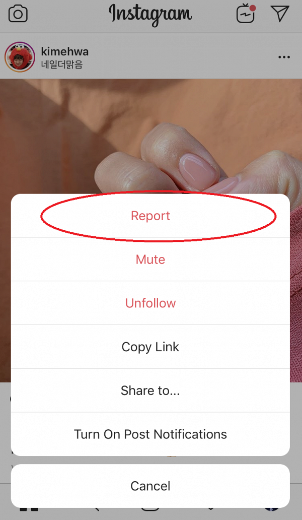 用戶只要點選「Report」