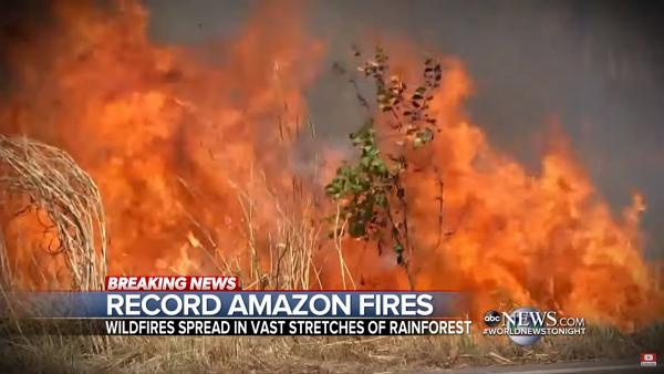 亞馬遜熱帶雨林大火燒近三個星期　森林持續乾旱全球氣候恐有災難性影響