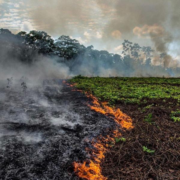 亞馬遜森林大火持續仍未撲熄　里安納度IG緊急呼籲望大眾齊心關注保護森林