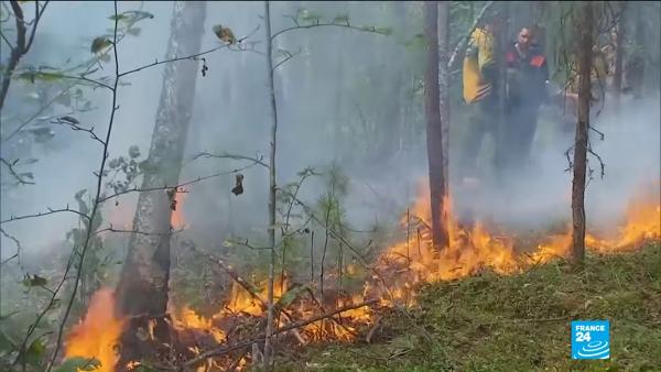 不只亞馬遜發生嚴重大火！俄羅斯西伯利亞火災肆虐　火燒面積已不止一個台灣