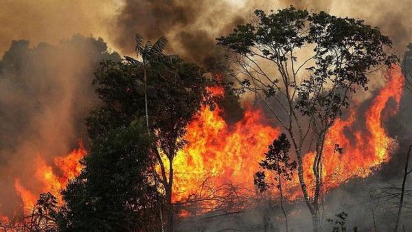 亞馬遜森林大火正影響地球壽命！再不作出保護行動恐20年後有大災難