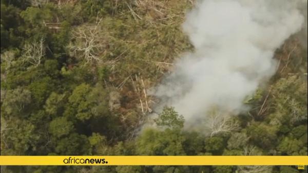 世界第二大熱帶雨林剛果盆地發生過萬宗火災　比亞馬遜大火數目高出5倍