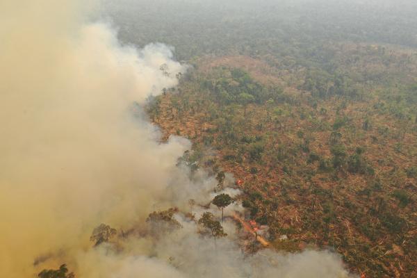 亞馬遜森林大火影響全球生態氣候！H&M/Vans多個品牌停止採購巴西皮革免成幫凶
