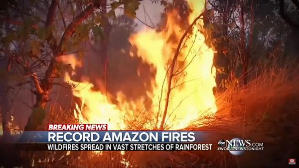 亞馬遜森林大火燒近2個月仍然肆虐　全球再有8個地方同樣發生大火